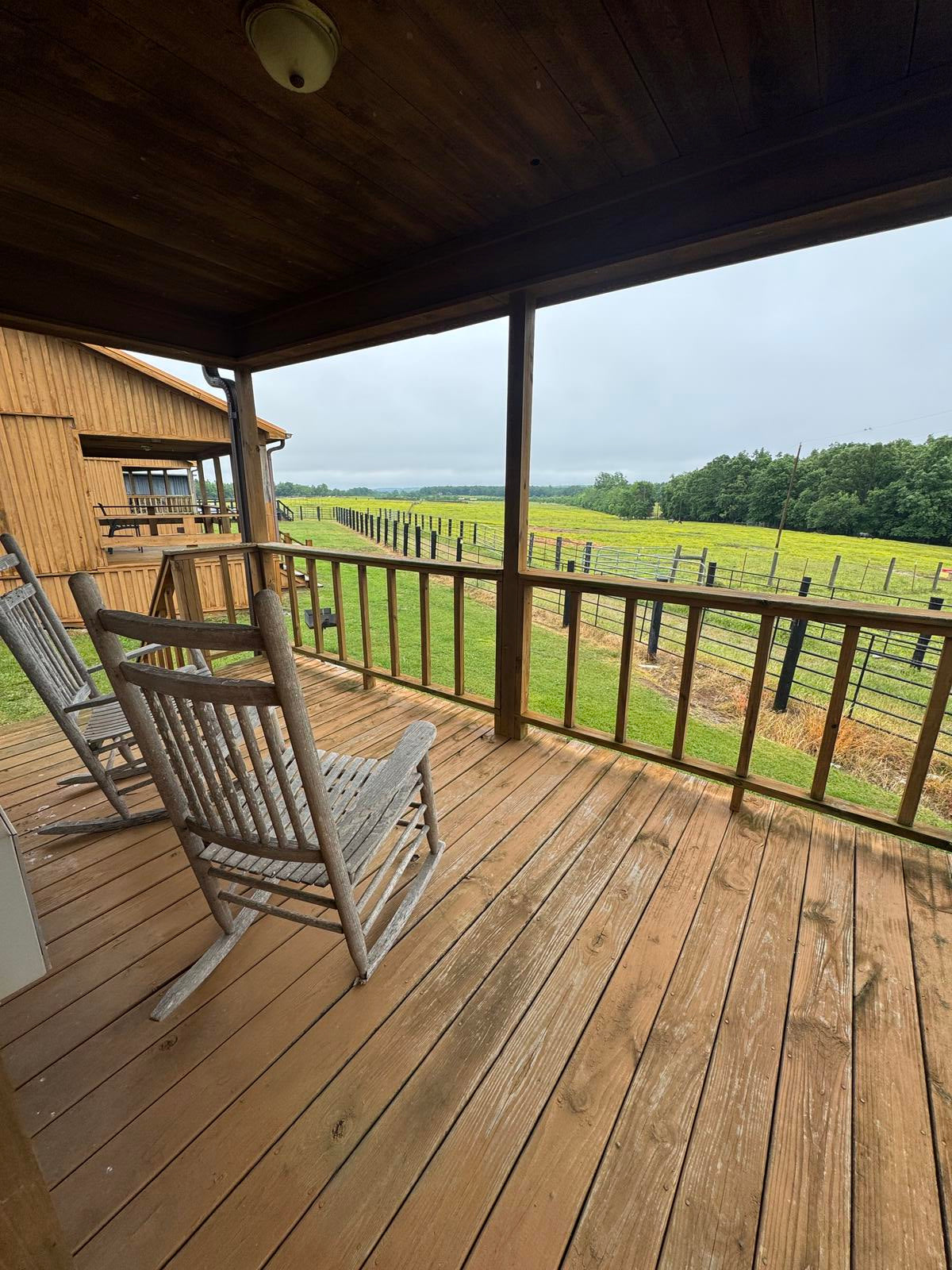 Cabin 5