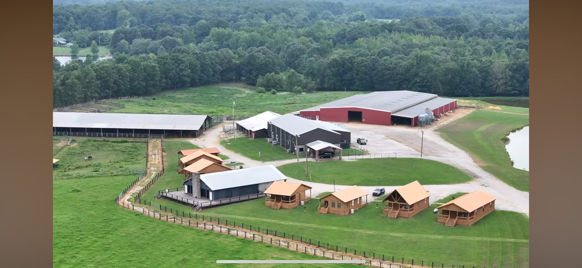 Cattle on LAMB RANCH